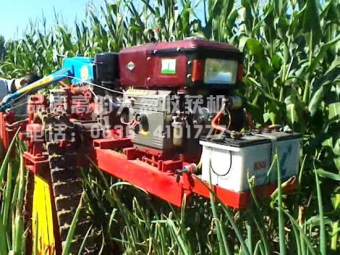 高效率大蔥收獲機